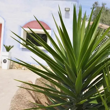 Guest house Di Labbiu Sorso